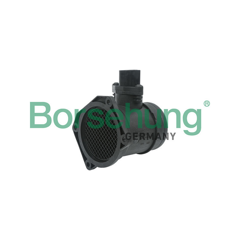 BORSEHUNG B13666 Debimetro