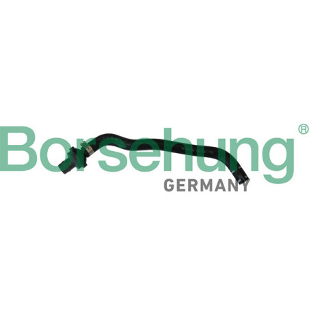 BORSEHUNG B11970 Tuyau reniflard d'huile pour