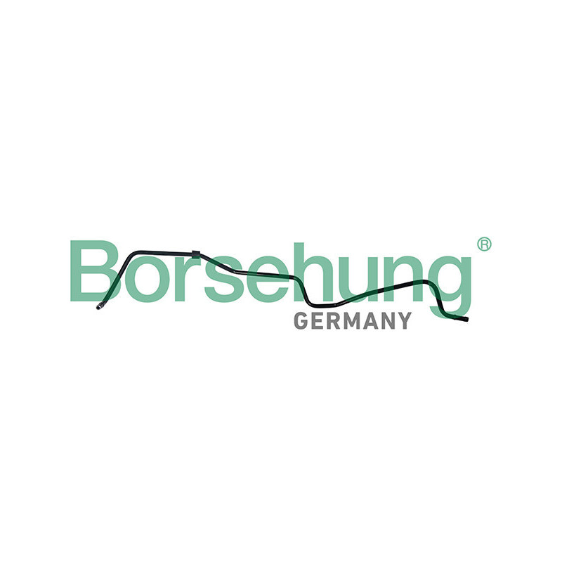 BORSEHUNG B19264 Tubo sfiato carter ventilazione monoblocco per