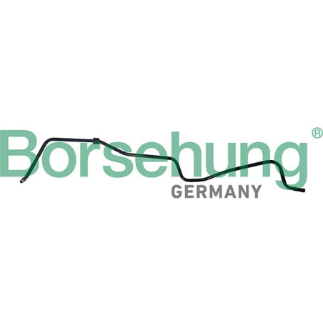 BORSEHUNG B19264 Crankcase Breather Hose for
