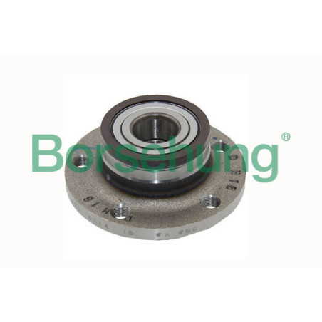 BORSEHUNG B15621 Mozzo ruota Posteriore per