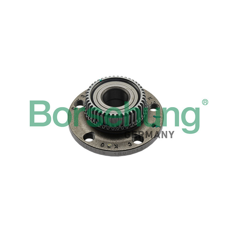 BORSEHUNG B15623 Radnabe Hinten für