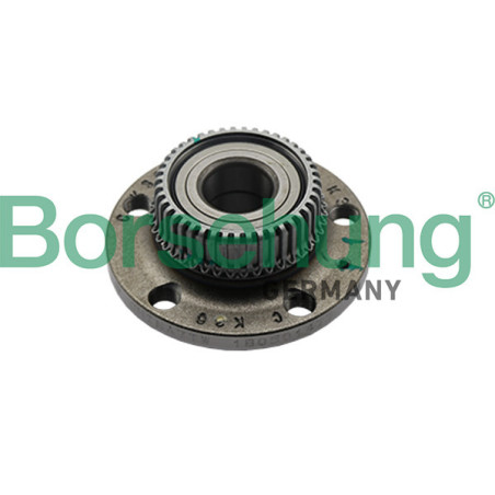 BORSEHUNG B15623 Moyeu de roue Arrière pour