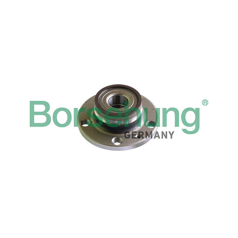 BORSEHUNG B18297 Wheel Hub Rear for