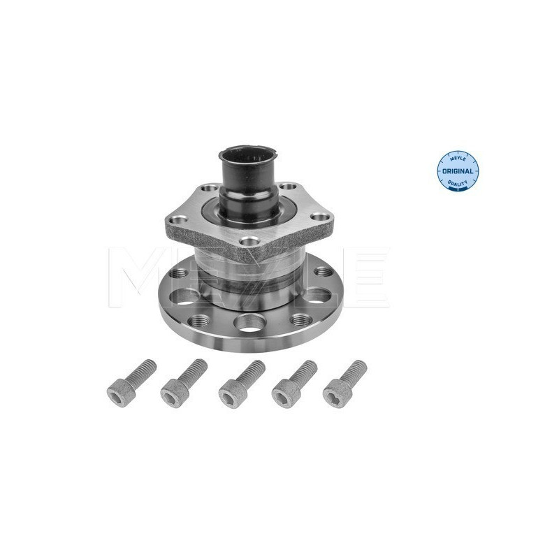 MEYLE 100 752 0001 Buje de rueda trasero para Passat A6 Superb