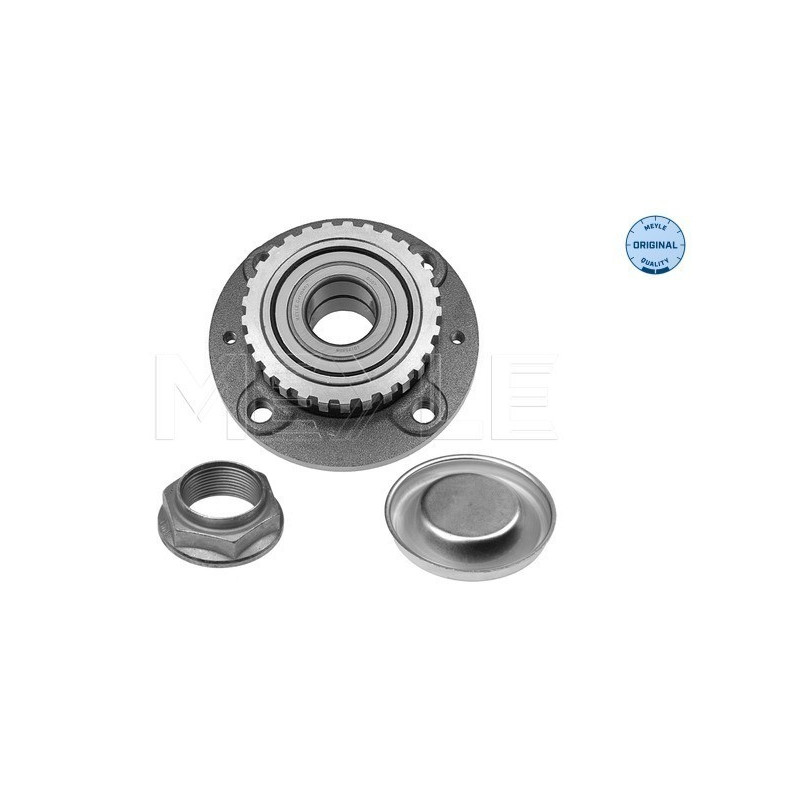 MEYLE 11-14 750 0022 Wheel Hub Rear for Partner Berlingo Xsara Picasso