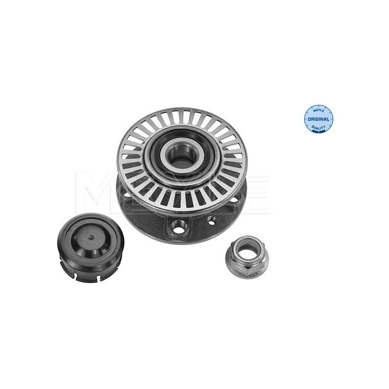 MEYLE 16-14 080 3924 Moyeu de roue arrière pour Renault Safrane