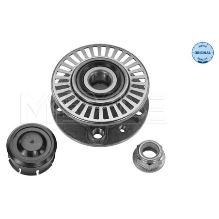MEYLE 16-14 080 3924 Mozzo ruota posteriore per Renault Safrane