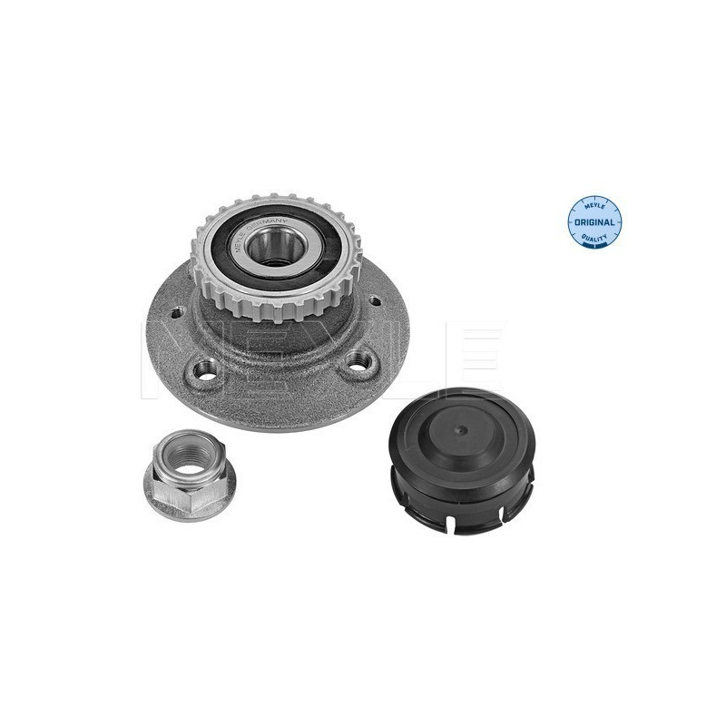MEYLE 16-14 752 0007 Wheel Hub Rear for Renault Kangoo