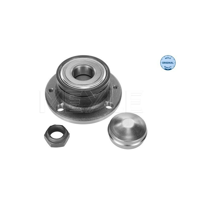 MEYLE 214 750 0004 Buje de rueda trasero para Stilo Doblo Fiorino