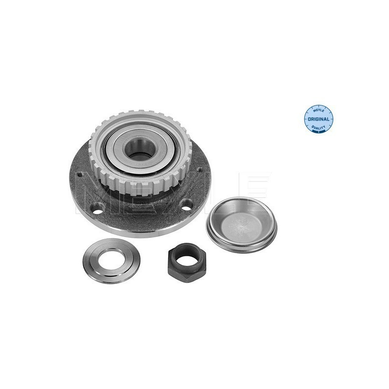 MEYLE 40-14 752 0001 Piasta koła tył dla Xsara 306