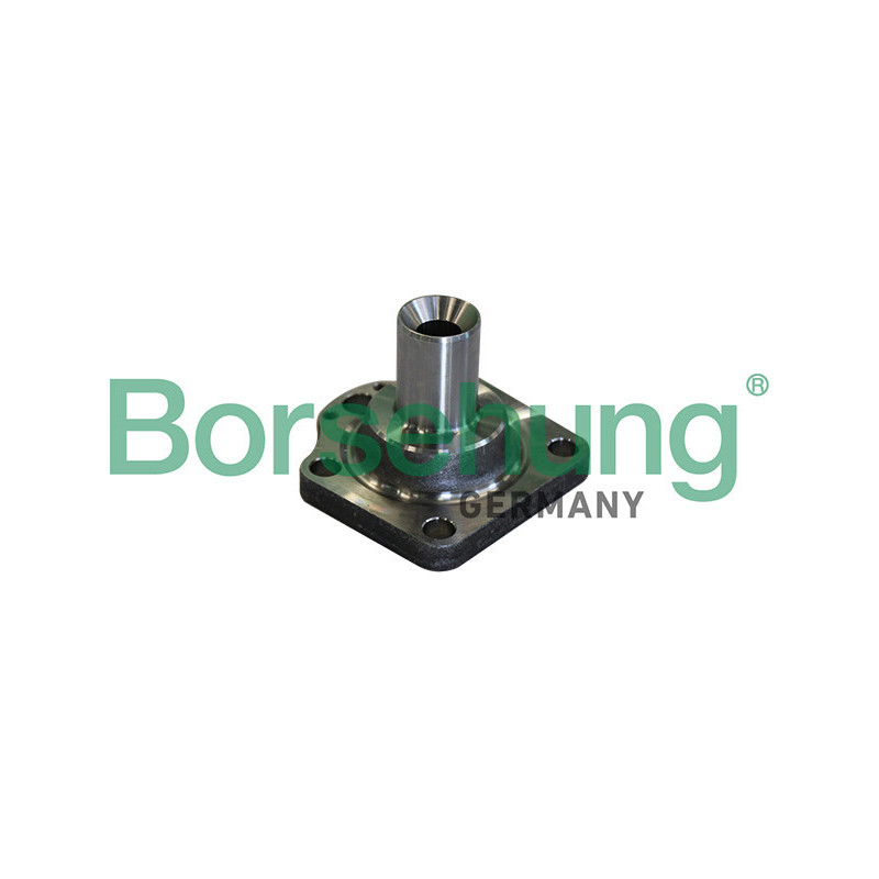 BORSEHUNG B11291 Buje de rueda Trasero para