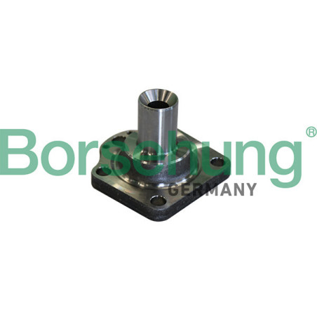 BORSEHUNG B11291 Piasta koła Tył dla