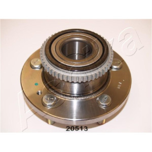 ASHIKA 44-20513 Wheel Hub Rear for