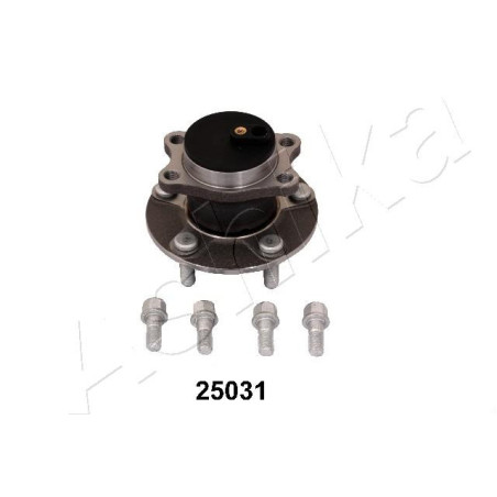 ASHIKA 44-25031 Piasta koła Tył dla