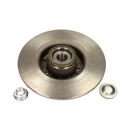 MAXGEAR 19-1904 Brzdový kotúč zadný pre Laguna Sienna Scenic