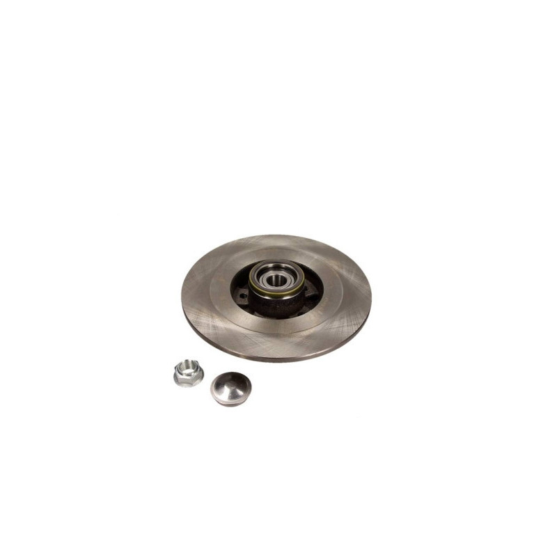 MAXGEAR 19-1965 Bremsscheibe Hinten für Renault Espace