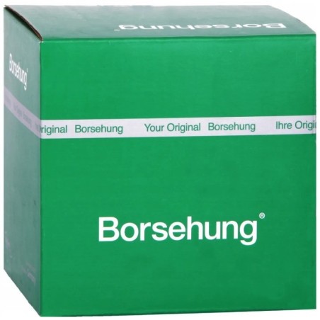 BORSEHUNG B17913 Bremsbackensatz für