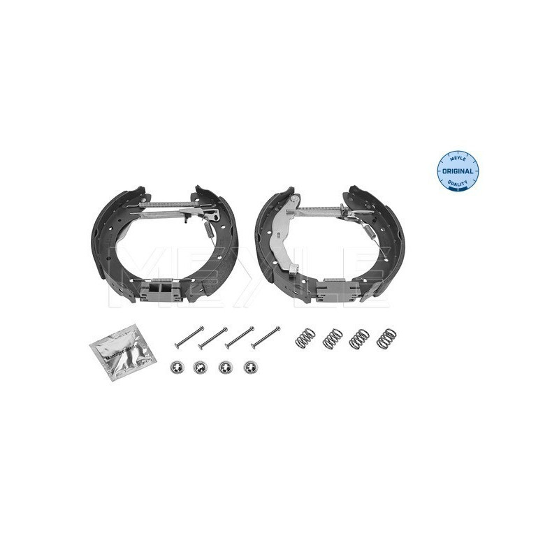 MEYLE 16-14 533 0011/K Jeu de mâchoires de frein pour Megane Laguna Scenic