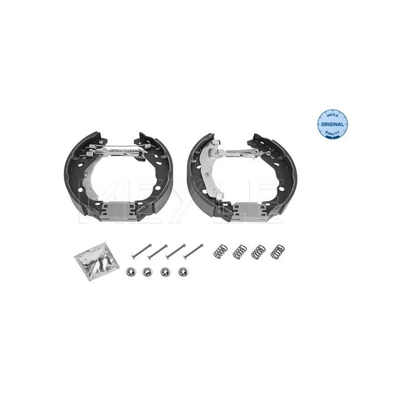 MEYLE 16-14 533 0012/K Kit ganasce freno per Clio Logan Sandero Thalia 208 C3 301 C-Elysee DS3