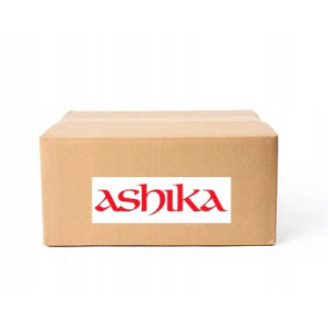 ASHIKA 55-02-233 Juego de zapatas de frenos para