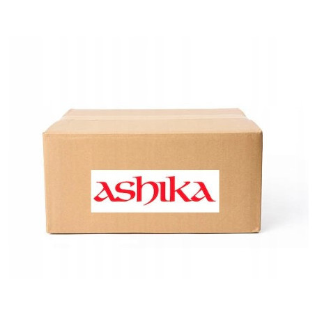 ASHIKA 55-06-601 Jeu de mâchoires de frein pour