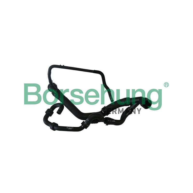 BORSEHUNG B11959 Durite de radiateur