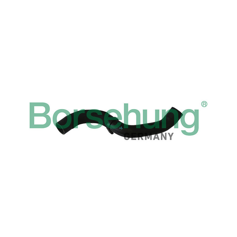 BORSEHUNG B11966 Flessibile radiatore