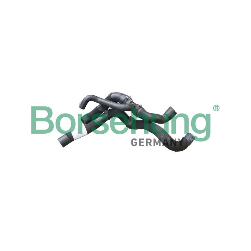 BORSEHUNG B11974 Radiator Hose