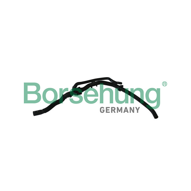 BORSEHUNG B11981 Radiator Hose