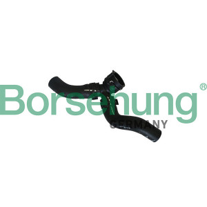BORSEHUNG B11984 Tubería de radiador