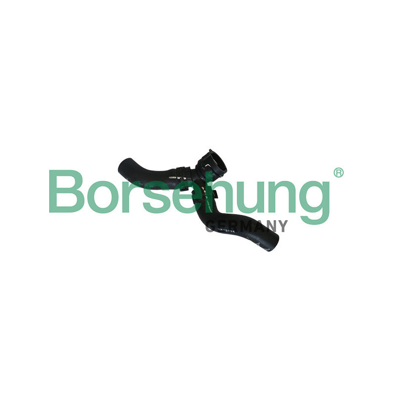 BORSEHUNG B11984 Durite de radiateur