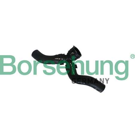 BORSEHUNG B11984 Tubería de radiador