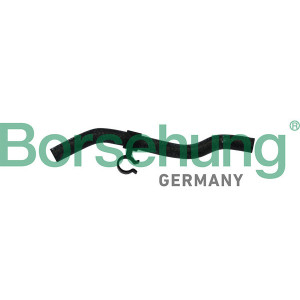 BORSEHUNG B11975 Radiator Hose