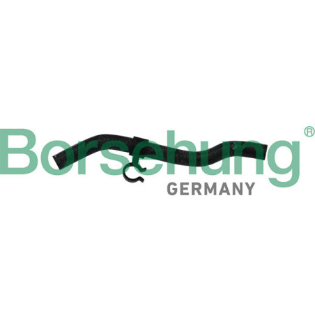 BORSEHUNG B11975 Durite de radiateur
