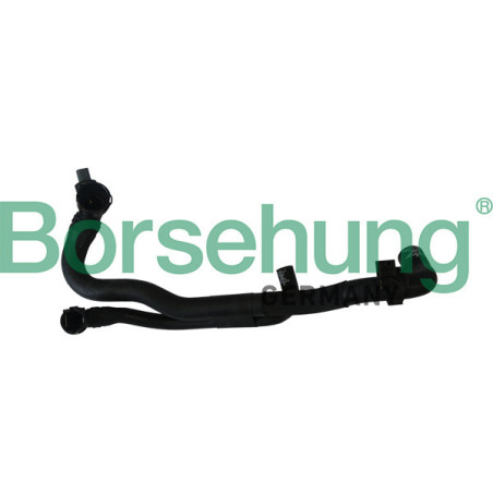 BORSEHUNG B11978 Radiator Hose
