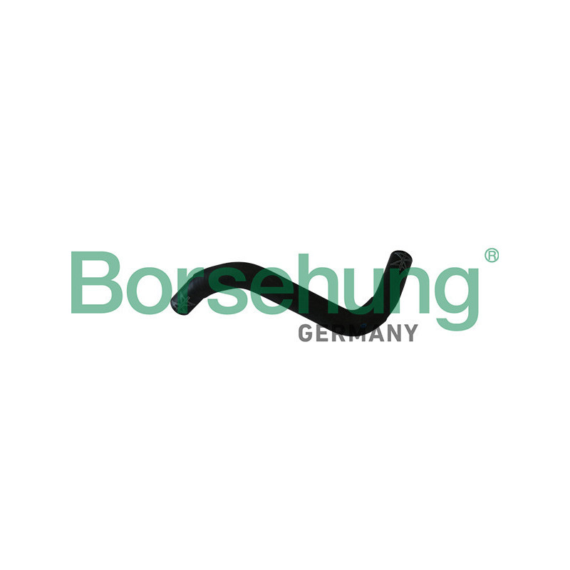 BORSEHUNG B11986 Tubería de radiador