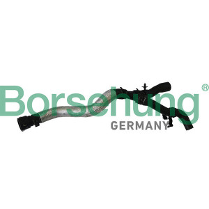 BORSEHUNG B11979 Radiator Hose