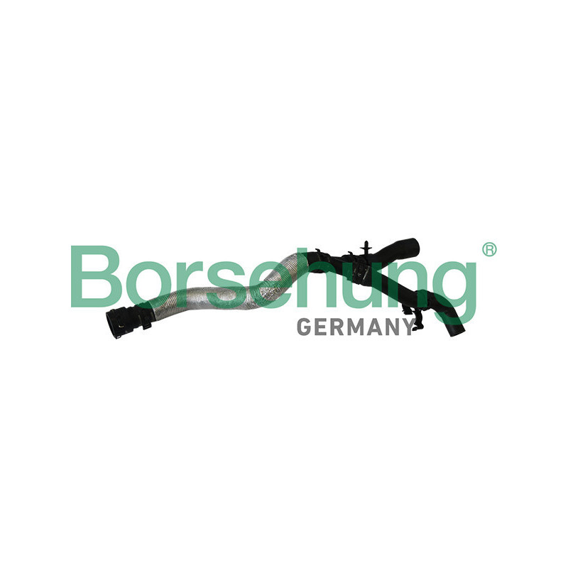 BORSEHUNG B11979 Tubería de radiador