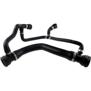 RAPRO R19243 Radiator Hose