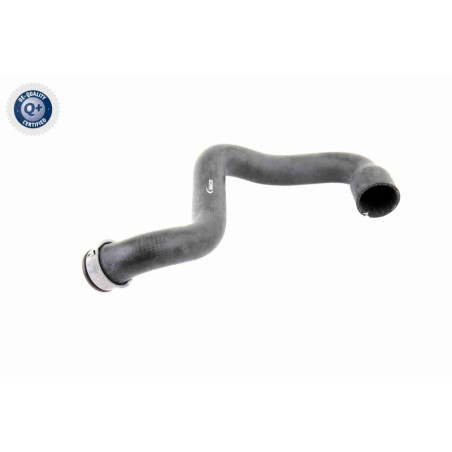 VAICO V30-1662 Durite de radiateur