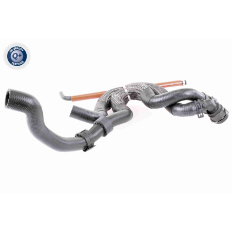 VAICO V10-3910 Radiator Hose