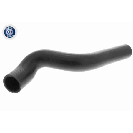 VAICO V40-1170 Radiator Hose