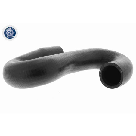 VAICO V40-1171 Radiator Hose