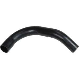 RAPRO R11313 Radiator Hose