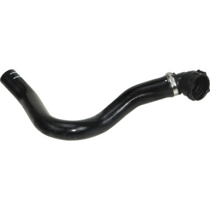 RAPRO R11363 Radiator Hose