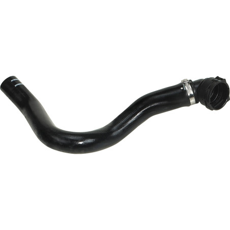 RAPRO R11363 Radiator Hose