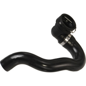 RAPRO R11543 Radiator Hose