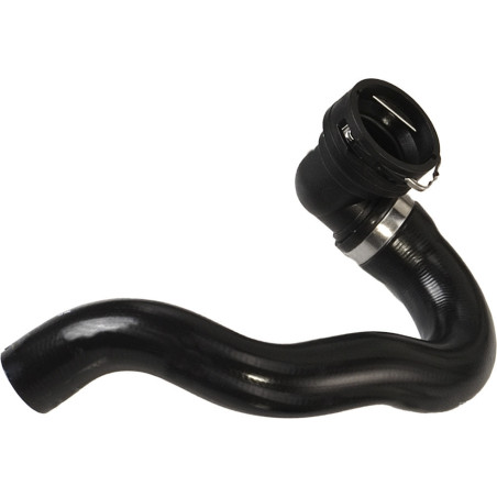 RAPRO R11543 Radiator Hose
