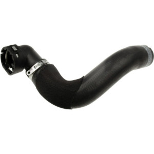 RAPRO R11658 Radiator Hose